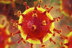 26-2-2020 Πράξη Νομοθετικού Περιεχομένου της 25.02.2020 - Κατεπείγοντα μέτρα αποφυγής και περιορισμού της διάδοσης κορωνοϊού.